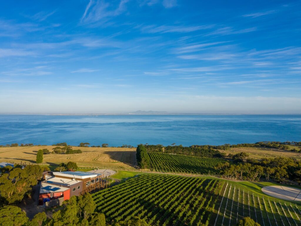 Winery Day Tours vineyard view | Adelaide Hills wine tasting tour | Barossa Valley wine and food experience | McLaren Vale coastal vineyard | Yarra Valley winery day trip | Mornington Peninsula vineyard lunch | Small group wine tasting tour | Luxury winery tour experience | Couples enjoying wine at vineyard | Corporate winery event tour