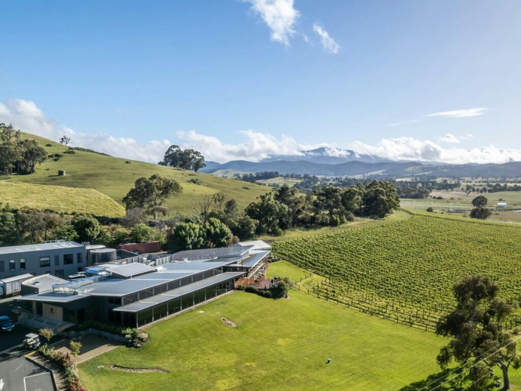 Winery Day Tours vineyard view | Adelaide Hills wine tasting tour | Barossa Valley wine and food experience | McLaren Vale coastal vineyard | Yarra Valley winery day trip | Mornington Peninsula vineyard lunch | Small group wine tasting tour | Luxury winery tour experience | Couples enjoying wine at vineyard | Corporate winery event tour