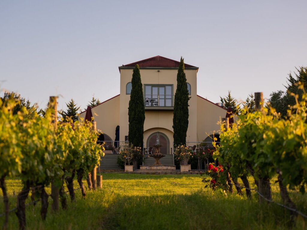 Winery Day Tours vineyard view | Adelaide Hills wine tasting tour | Barossa Valley wine and food experience | McLaren Vale coastal vineyard | Yarra Valley winery day trip | Mornington Peninsula vineyard lunch | Small group wine tasting tour | Luxury winery tour experience | Couples enjoying wine at vineyard | Corporate winery event tour