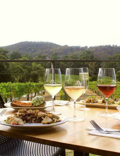 Winery Day Tours vineyard view | Adelaide Hills wine tasting tour | Barossa Valley wine and food experience | McLaren Vale coastal vineyard | Yarra Valley winery day trip | Mornington Peninsula vineyard lunch | Small group wine tasting tour | Luxury winery tour experience | Couples enjoying wine at vineyard | Corporate winery event tour