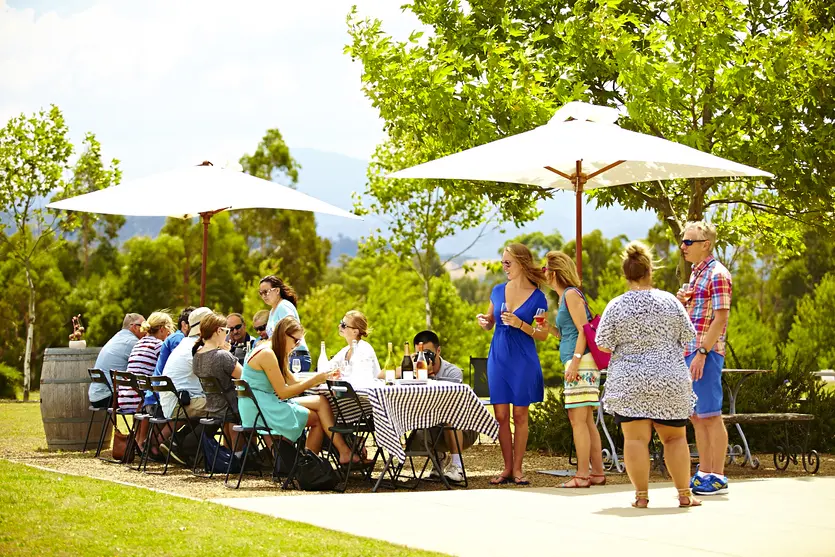 Winery Day Tours vineyard view | Adelaide Hills wine tasting tour | Barossa Valley wine and food experience | McLaren Vale coastal vineyard | Yarra Valley winery day trip | Mornington Peninsula vineyard lunch | Small group wine tasting tour | Luxury winery tour experience | Couples enjoying wine at vineyard | Corporate winery event tour