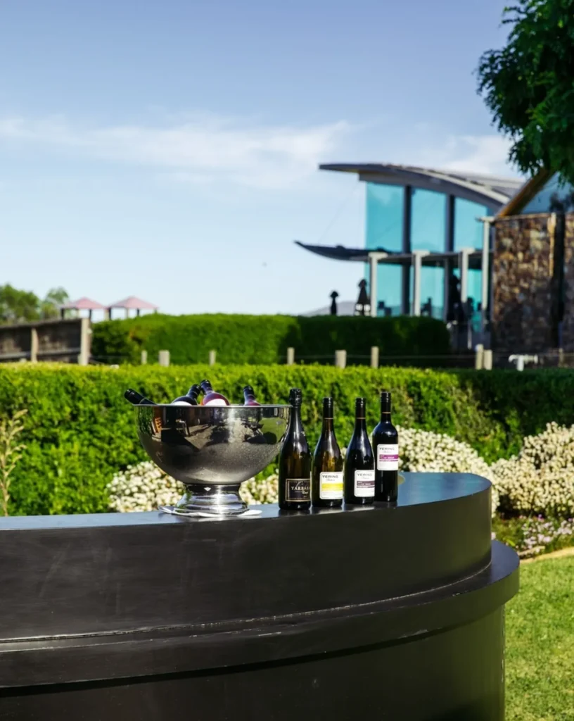 Winery Day Tours vineyard view | Adelaide Hills wine tasting tour | Barossa Valley wine and food experience | McLaren Vale coastal vineyard | Yarra Valley winery day trip | Mornington Peninsula vineyard lunch | Small group wine tasting tour | Luxury winery tour experience | Couples enjoying wine at vineyard | Corporate winery event tour