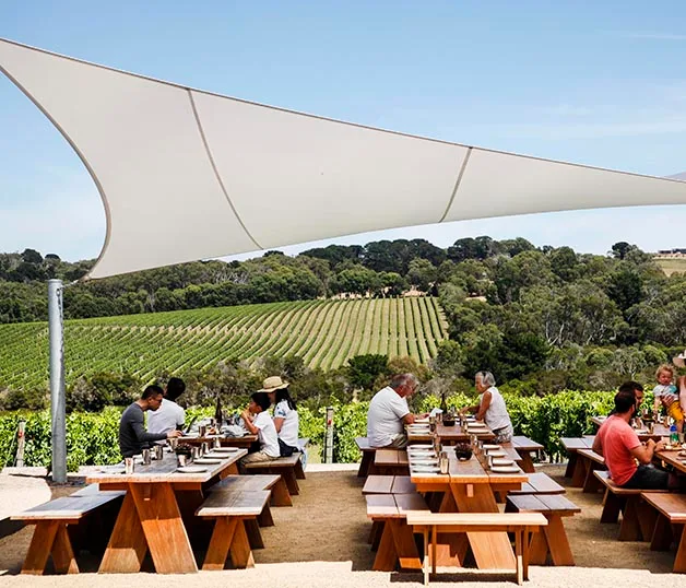 Winery Day Tours vineyard view | Adelaide Hills wine tasting tour | Barossa Valley wine and food experience | McLaren Vale coastal vineyard | Yarra Valley winery day trip | Mornington Peninsula vineyard lunch | Small group wine tasting tour | Luxury winery tour experience | Couples enjoying wine at vineyard | Corporate winery event tour