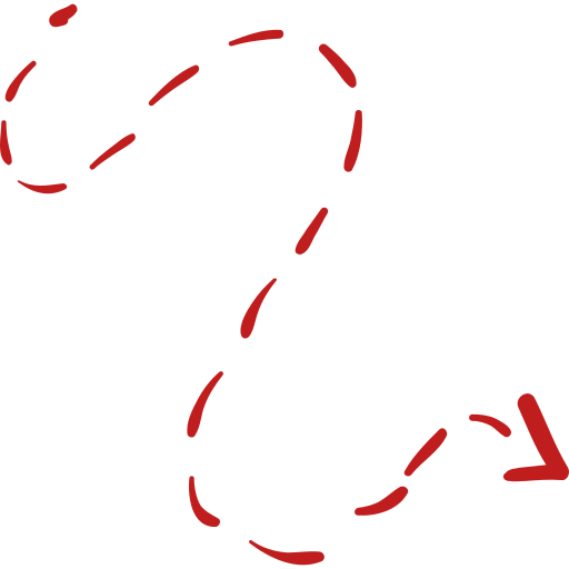 Winery Day Tours vineyard view | Adelaide Hills wine tasting tour | Barossa Valley wine and food experience | McLaren Vale coastal vineyard | Yarra Valley winery day trip | Mornington Peninsula vineyard lunch | Small group wine tasting tour | Luxury winery tour experience | Couples enjoying wine at vineyard | Corporate winery event tour