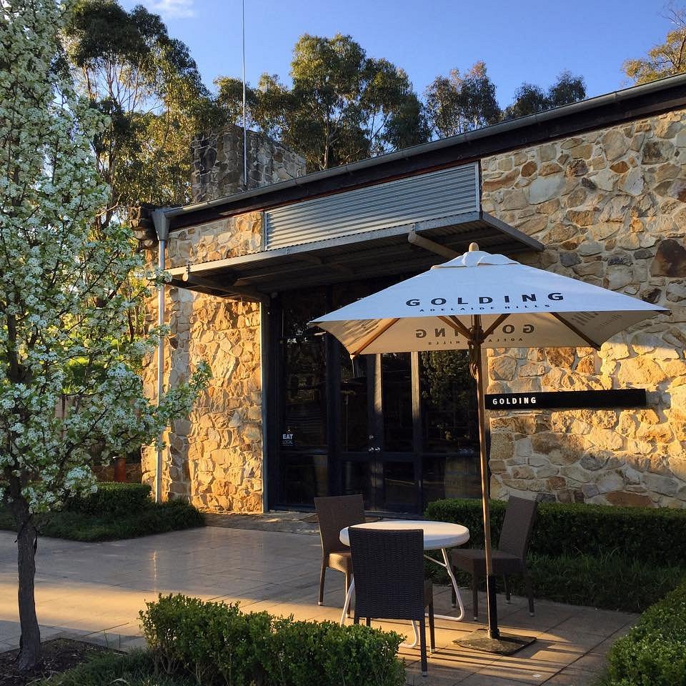 Winery Day Tours vineyard view | Adelaide Hills wine tasting tour | Barossa Valley wine and food experience | McLaren Vale coastal vineyard | Yarra Valley winery day trip | Mornington Peninsula vineyard lunch | Small group wine tasting tour | Luxury winery tour experience | Couples enjoying wine at vineyard | Corporate winery event tour